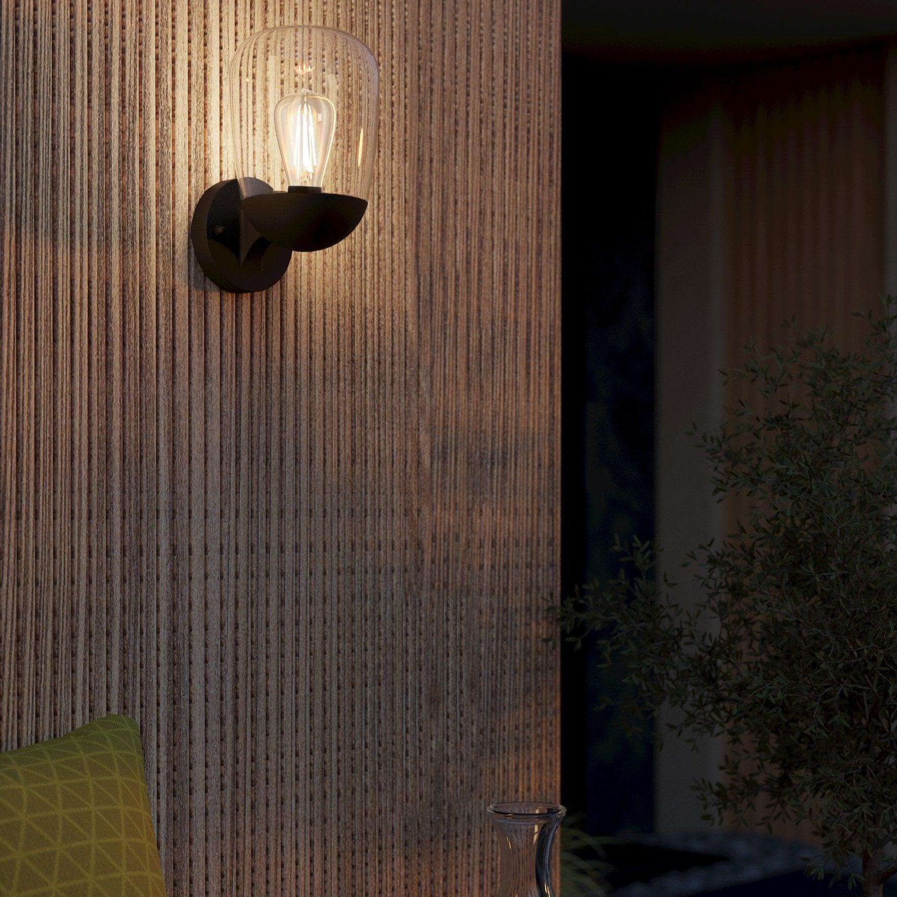 Eglo Donatori Black & Clear Glass Outdoor Wall Light - IP44-clearance