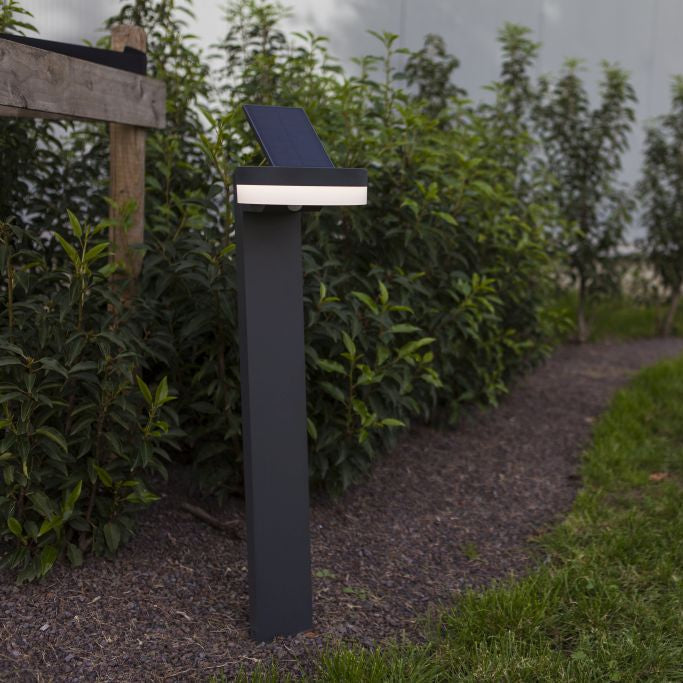 Solar-powered outdoor light on a garden path with greenery in the background