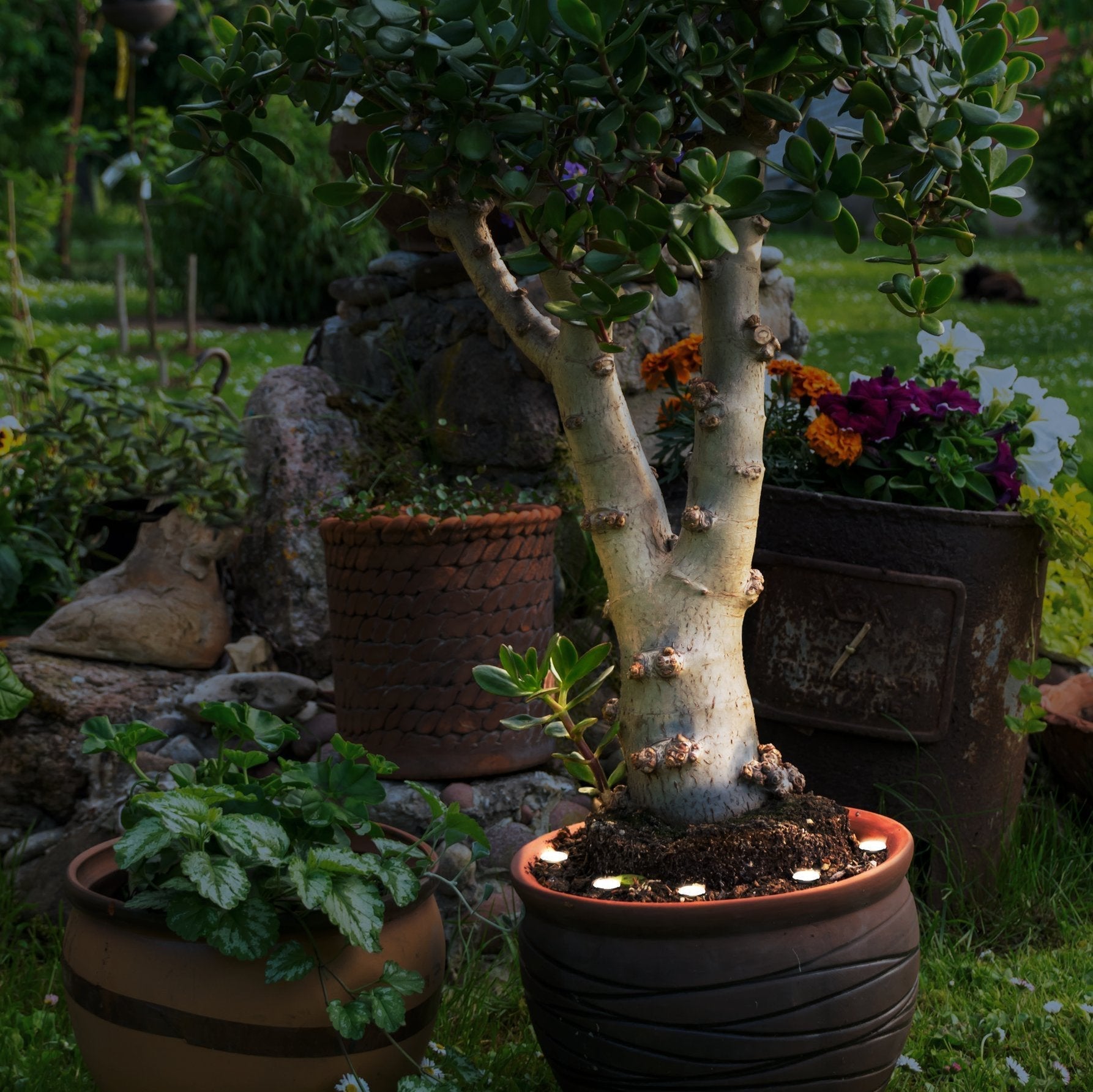 eglo spinetoli 2 set 6 connected led ip65 ground spike light living room image