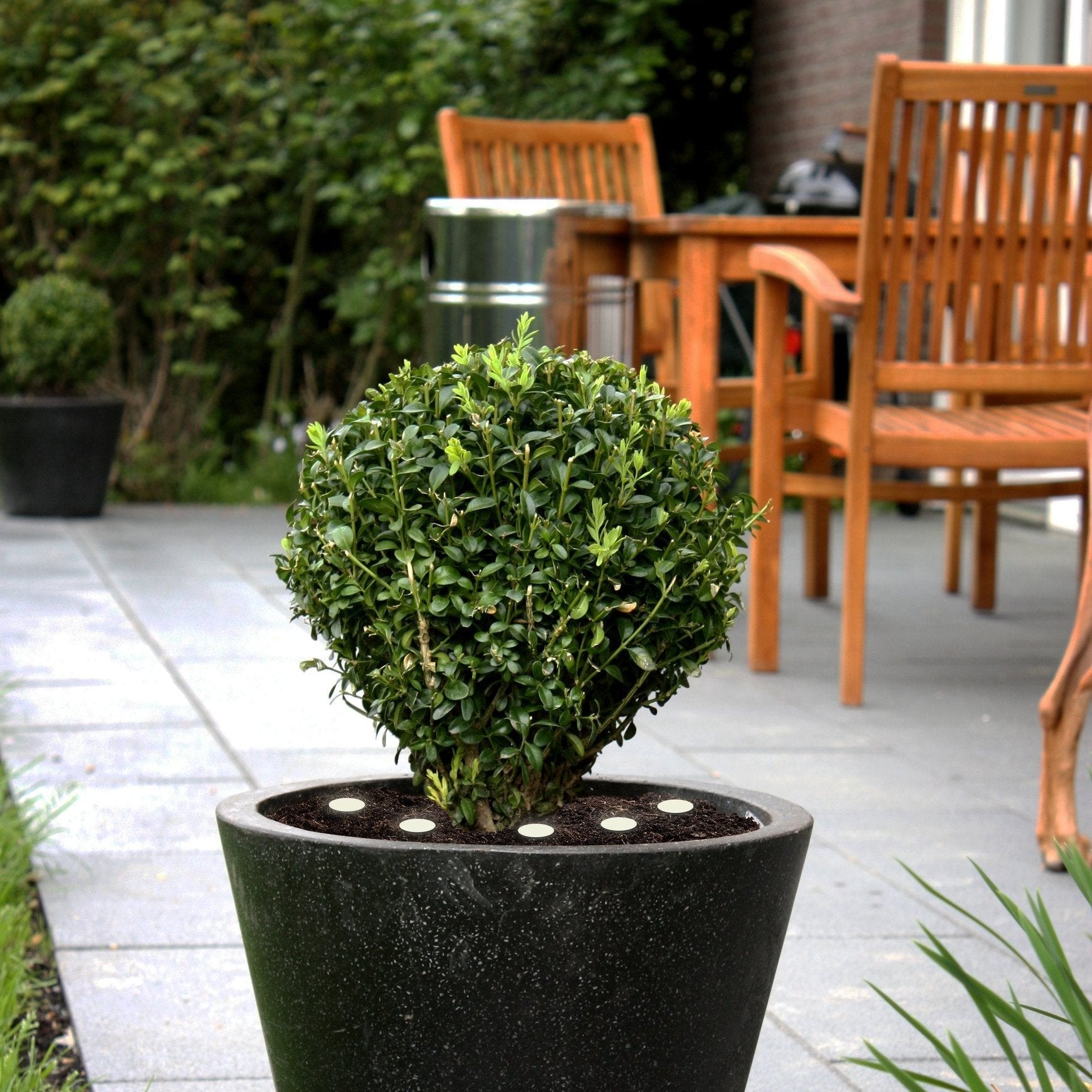 eglo spinetoli 2 set 6 connected led ip65 ground spike light