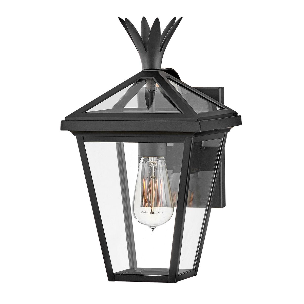 Palma Black Small Outdoor Wall Lantern HK-PALMA-S-BK by Hinkley