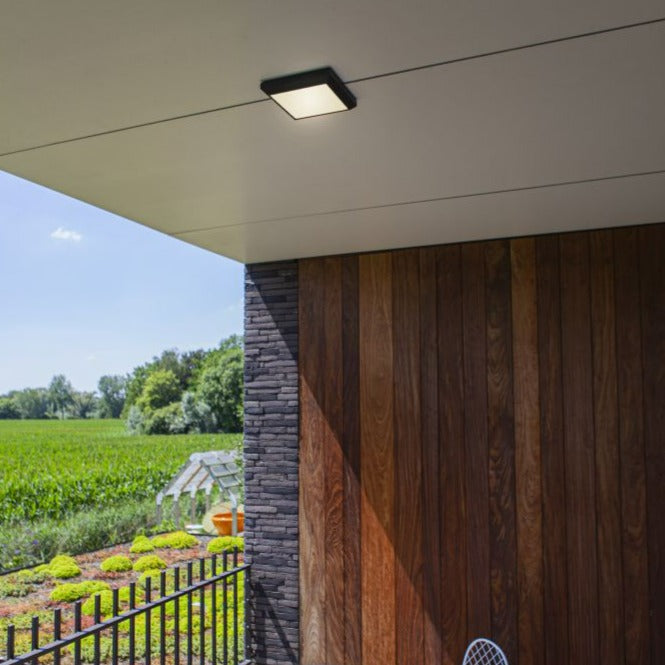 Lutec Helena Outdoor LED Grey Wall or Flush Ceiling Light 5102101118