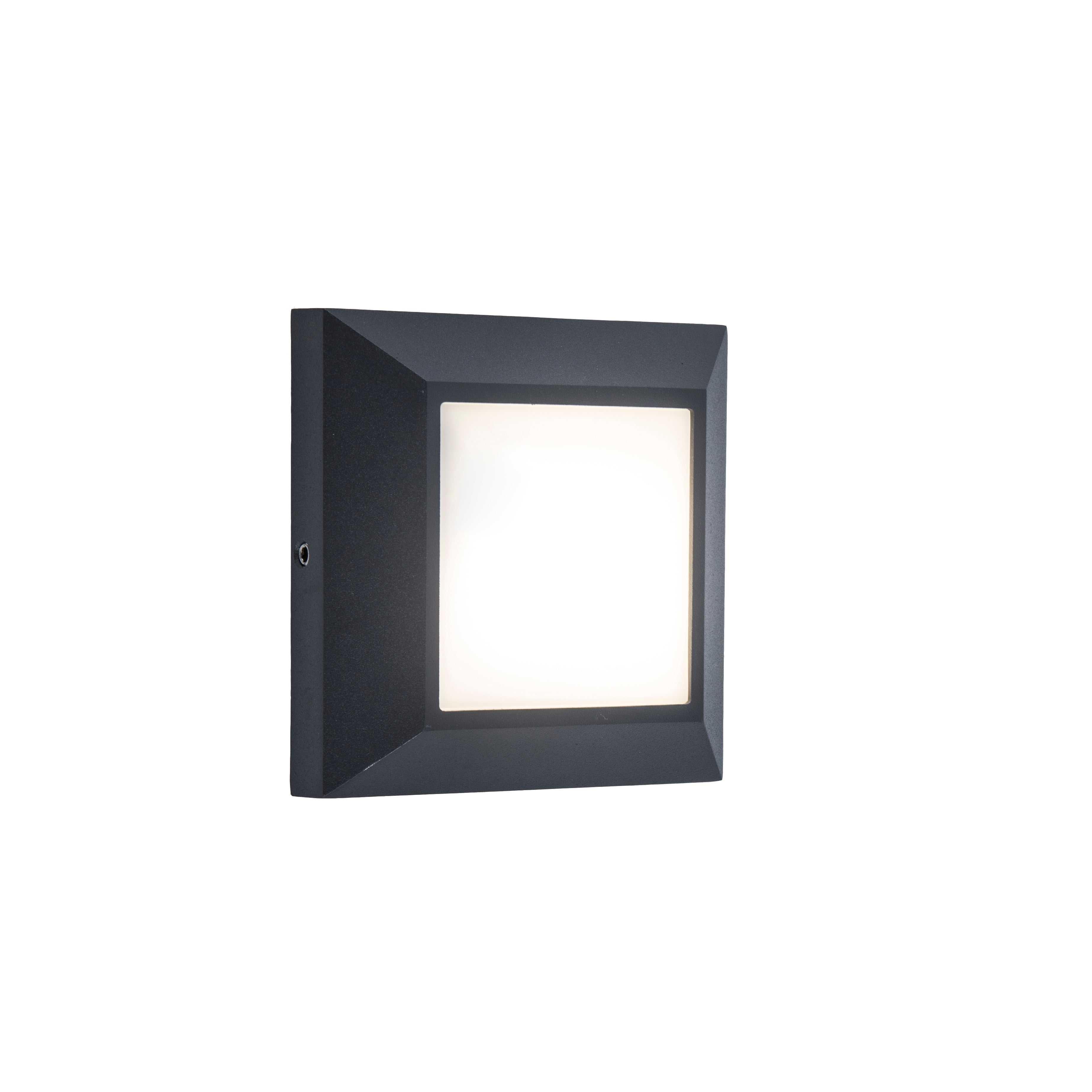 Lutec Helena Outdoor Recessed Wall Light - Dark Grey 6402101118