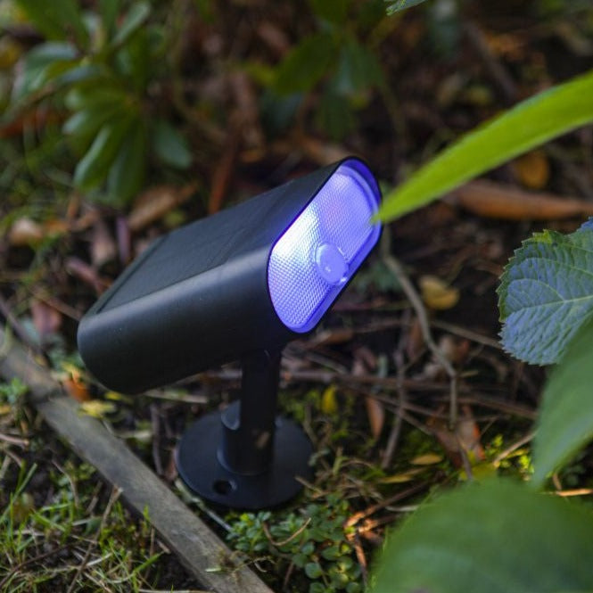 Lutec Ginbo Solar LED Black Outdoor Wall Light with Spike 6938405330 purple light