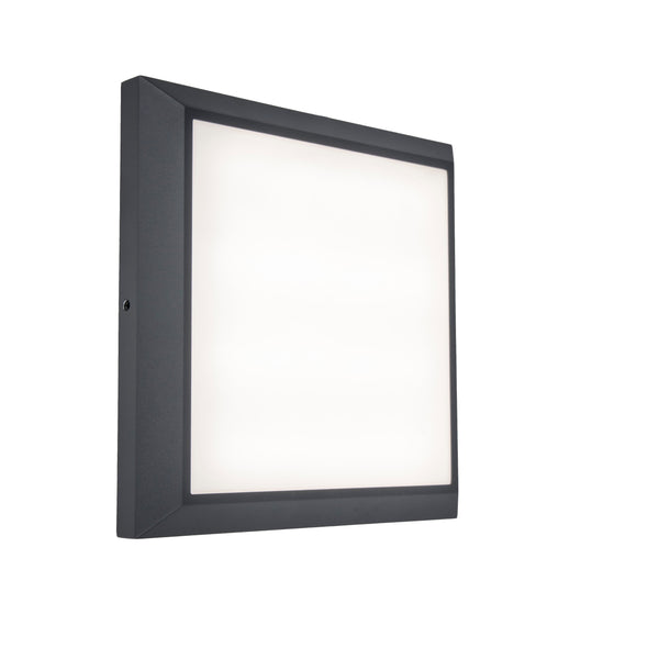 Lutec Helena Outdoor LED Grey Wall or Flush Ceiling Light 5102101118