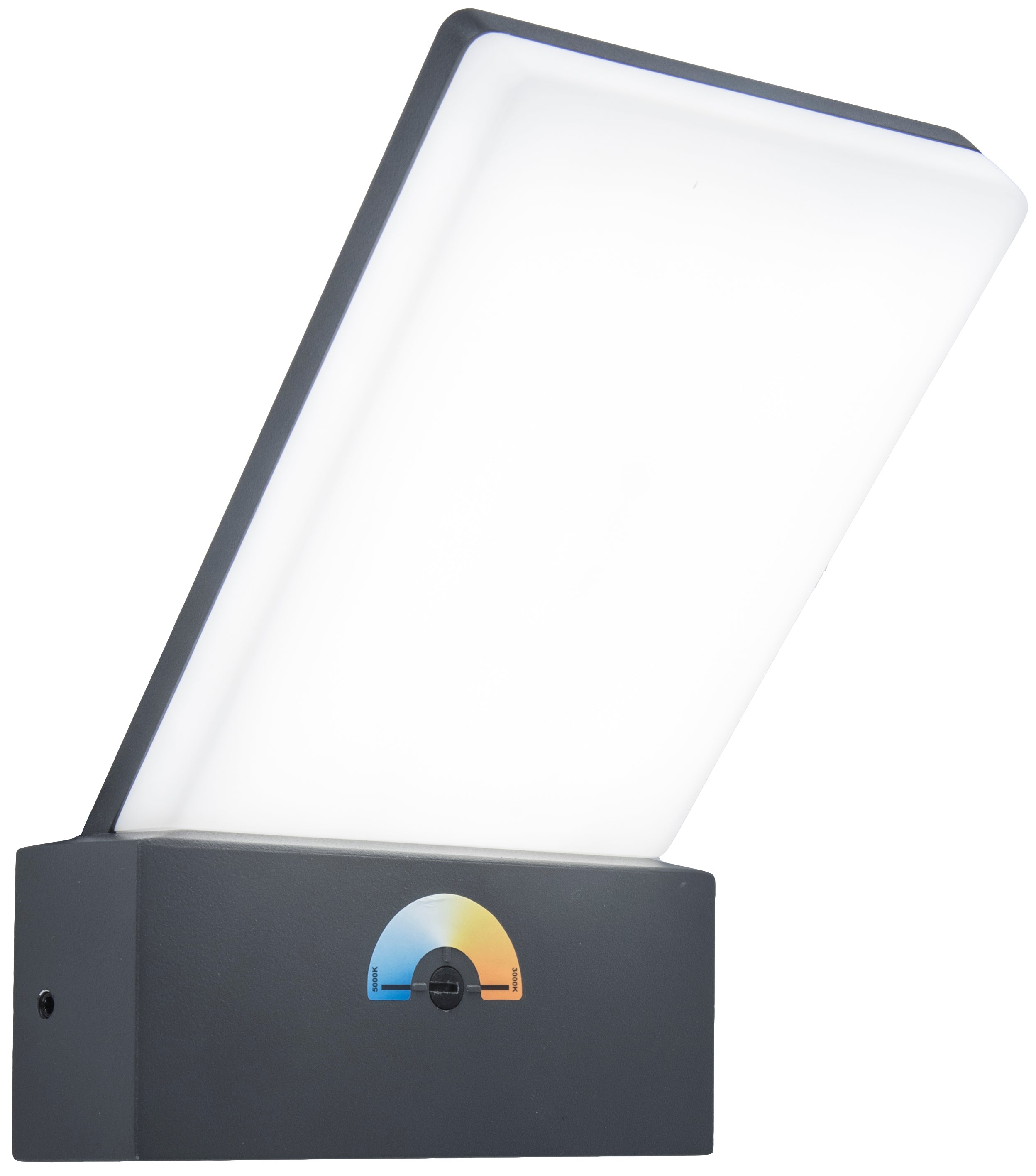 Lutec Outdoor Adjustable LED Wall Light 5289001118