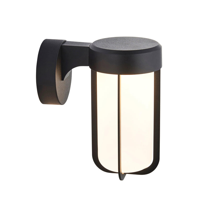 Newquay Black LED Outdoor Wall Light with Frosted Shade